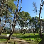 Apartment Fronte Mare 74