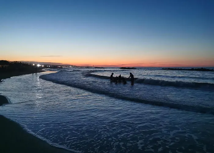 Fronte Mare 74 Pescara
